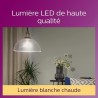 Philips, pack de 6 ampoules E27 LED transparentes 60W, blanc chaud