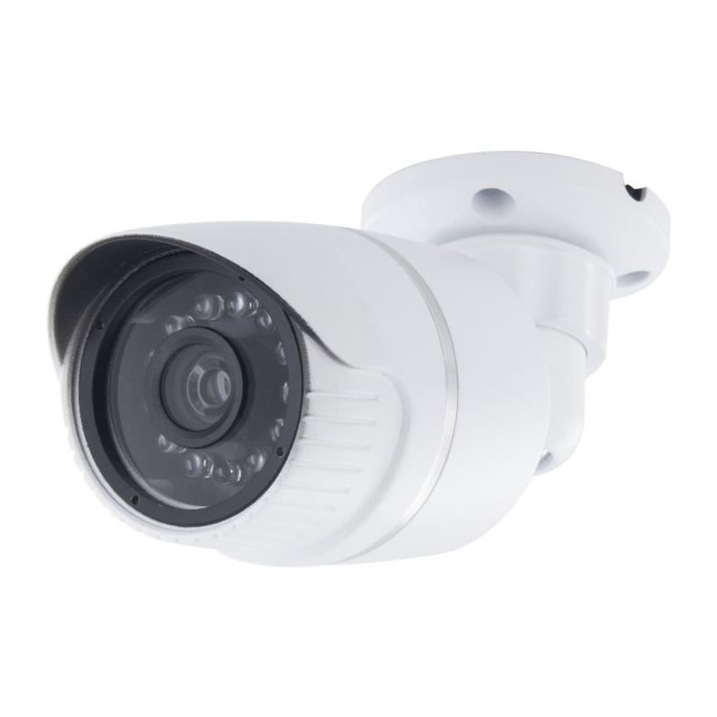 Caméra factice - CHACON - Aluminium - LED bleu - Blanc