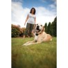 PetSafe - Systeme de Clôture Anti-fugue avec Fil pour Chien de plus 3,6 Kg – ...