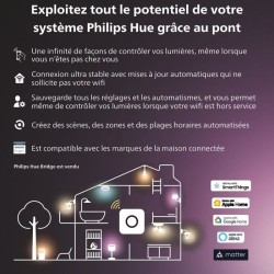 Philips Hue White and Color Ambiance, Lampe a poser Gradient Signe