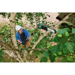 Elagueuse sur perche sans fil Bosch - UniversalChainPole 18 (Livré avec 1 bat...