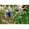 Elagueuse sur perche sans fil Bosch - UniversalChainPole 18 (Livré avec 1 bat...