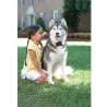 PetSafe - Systeme de Clôture Anti-Fugue pour Chien avec 150 metres de fil - 5...