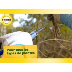 SOLABIOL Bouturage osiryl - 40ml - Jusqu'a 20L de solution - Stimulateur raci...