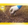 SOLABIOL Bouturage osiryl - 40ml - Jusqu'a 20L de solution - Stimulateur raci...