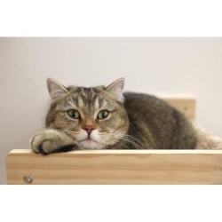 KERBL - Hamac mural pour chats - TIMBER - 38 x 33,5 x 16 cm - Bois massif - T...