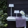 Lampe de table d'extérieur - BRILLIANT - PICCO - LED et solaire - Métal et pl...