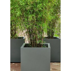 Bac a fleurs - RIVIERA - Granit - 29,5x29,5x33,5 cm - Gris