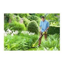 RYOBI - Coupe-bordures 18V - Ø coupe 25-30 cm -  Ø fil 1 x 1,6 mm - tube téle...