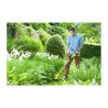 RYOBI - Coupe-bordures 18V - Ø coupe 25-30 cm -  Ø fil 1 x 1,6 mm - tube téle...