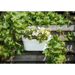 Jardiniere+crochet - GARDEN ID Star - Blanc 50 x 21 cm - Fixation facile - Ré...