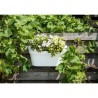 Jardiniere+crochet - GARDEN ID Star - Blanc 50 x 21 cm - Fixation facile - Ré...