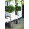 ELHO Pot de fleurs Rond GREEN BASICS - Plastique  - Ø43,8 x H33,8 cm - Terre ...