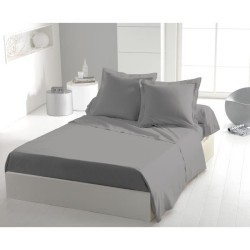 Drap plat - HOME LINGE PASSION - Microfibre 82 g - 240 x 300 cm - Gris clair