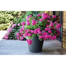 Pot de fleur Rond - Ø 60 cm  - EDA - Toscane - 76 L - Intérieur/Extérieur - Ø...
