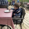 Rehausseur de chaise - BAMBISOL - 6/35 mois - Evolutif en chaise enfant 3/5 a...