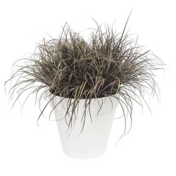 ELHO Pot de fleurs rond LOFT URBAN - 48 L - Ø 50 x H.44 cm - Blanc - Plastique