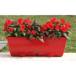 Lot 2 jardinieres - RIVIERA EVA - Plastique - Dimensions unitaire : 57 x 19.5...