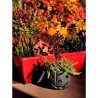 Lot 2 jardinieres - RIVIERA EVA - Plastique - Dimensions unitaire : 57 x 19.5...