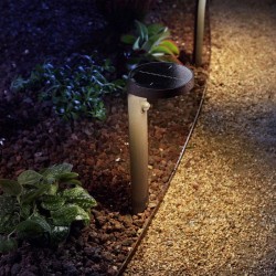 Lampe sur pied - PHILIPS - Tyla IR - Anthracite - 1 x 1,2 W - 4000 K