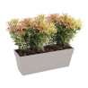 ELHO Bac a fleurs/jardiniere Loft Urban - 49 x 17,3 x 18 cm - Blanc