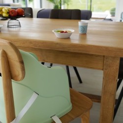 Rehausseur de chaise THERMOBABY Tudi - de 6 a 36 mois - Harnais de sécurité 3...