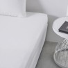Drap housse TODAY Essential - 90 x 190 cm - 1 personne - 100% Coton uni - Craie