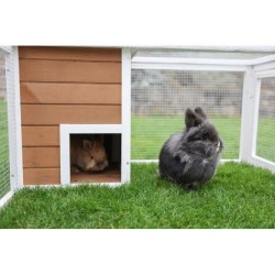 KERBL - Enclos d'extérieur petits animaux -  132 x 102 x 59 cm - Maison intég...