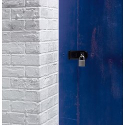 Cadenas en laiton nickelé 40mm - MASTER LOCK - Anse hexagonale - Haute sécuri...