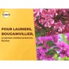 SOLABIOL Engrais lauriers & bougainvilliers - 1,5kg - Jusqu'a 30 pieds - Favo...