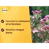 SOLABIOL Engrais lauriers & bougainvilliers - 1,5kg - Jusqu'a 30 pieds - Favo...