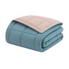 CALGARY - Couette Chaude Microfibre 400gr/m² - Beige Galet & Vert Lac - 220 x...