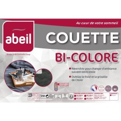 Couette Chaude Bicolore - ABEIL - 240 x 260 cm - Blanc & Gris