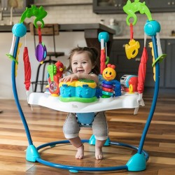BABY EINSTEIN Aire d'Eveil a Rebonds - Symphonie- cadeau bébé, siege a rebond...