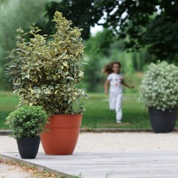 Pot de fleurs Rond - Ø 50 cm - EDA - OSAKA - 56,8 L - Intérieur/Extérieur - Ø...