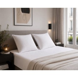 Lot de 2 Oreillers Microfibre - BLANREVE - Anti-Acariens - 60 x 60 cm - Blanc