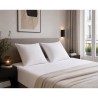 Lot de 2 Oreillers Microfibre - BLANREVE - Anti-Acariens - 60 x 60 cm - Blanc