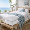 Lot de 2 Oreillers - BLANREVE - Spécial Transpiration - 60 x 60 cm - Blanc