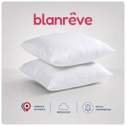Lot de 2 Oreillers - BLANREVE - Spécial Transpiration - 60 x 60 cm - Blanc