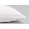 Lot de 2 Oreillers Coton - BLANREVE - 60 x 60 cm - Blanc