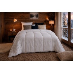 Couette Extra Chaude Microfibre - BLANREVE - 200 x 200 cm - Blanc
