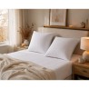 Lot de 2 Oreillers - BLANREVE - Triple Protection - 60 x 60 cm - Blanc