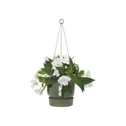 ELHO Pot de fleurs a suspendre Greenville - Ø 23,9 x H 20,3 cm - Extérieur - ...