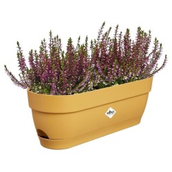 ELHO Balconniere ovale Vibia Campana - Plastique - Réservoir - 50 x 18,2 H 17...