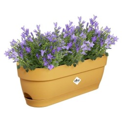 ELHO Balconniere ovale Vibia Campana - Plastique - Réservoir - 50 x 18,2 H 17...