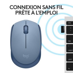 Souris - Sans Fil - Logitech - M171 - Bleu gris - Ambidextre
