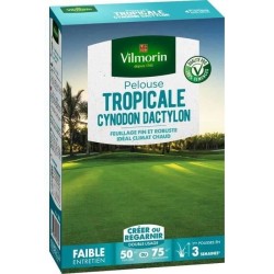 VILMORIN Semences de gazon bord de mer Les Tropicales Cynodon Dactylon - 500 g