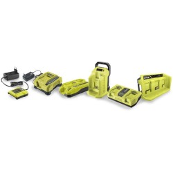 RYOBI Chargeur 36V 2 ports 6,0 A - RY36C2PA