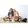 Gipsy Toys - Chien Berger Australien Assis - 25 cm - Blanc - Marron - Gris - ...