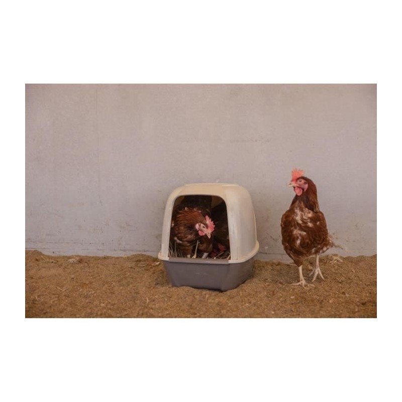 Pondoir pour poules - KERBL - 52 x 39 x 39 cm